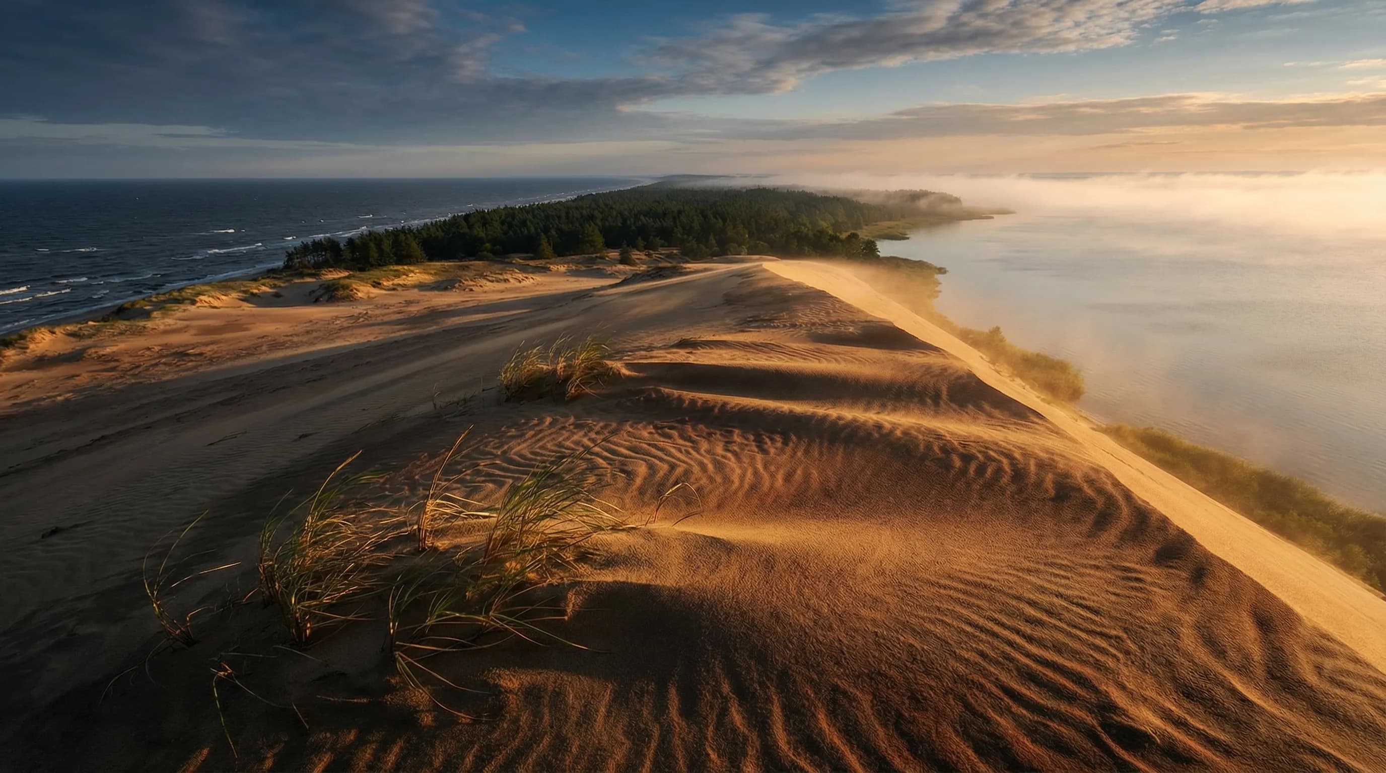 Куршская коса