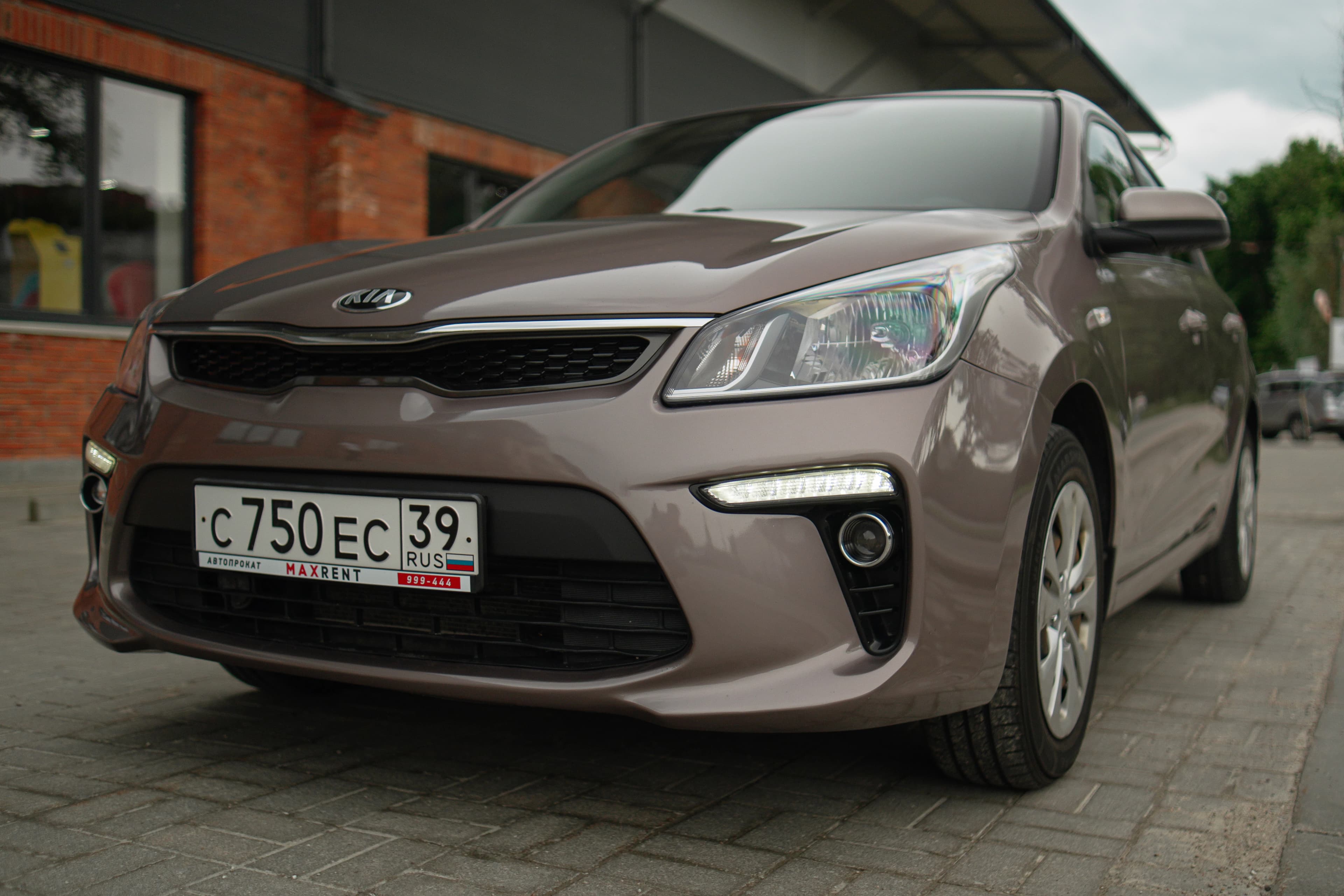 KIA RIO